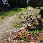 Studánka, Penzion Klíny