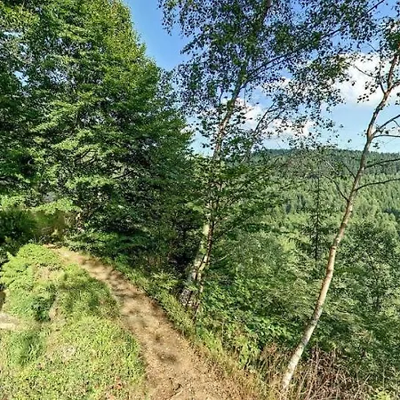 Affittacamere Studánka,